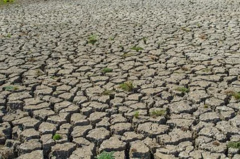 Drought parched soil Fotos de archivo