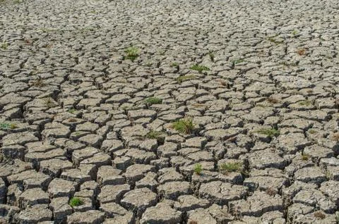Drought parched soil Fotos de archivo