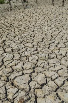Drought parched soil Fotos de archivo