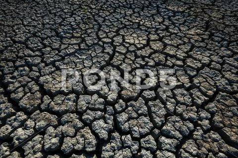 Drought Stock Photos