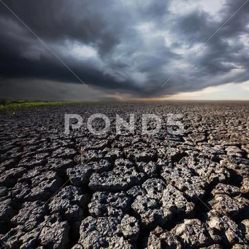 Drought Stock Photos