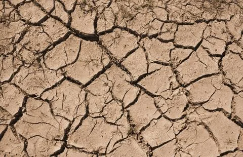 Drought Stock Photos