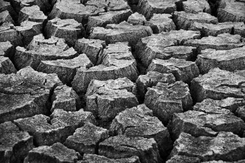 Drought Stock Photos