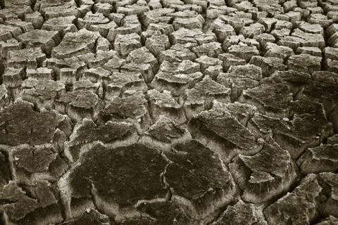 Drought Stock Photos