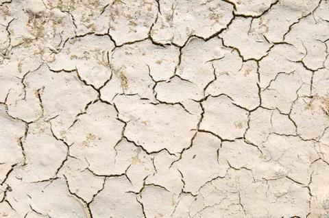 Drought Stock Photos