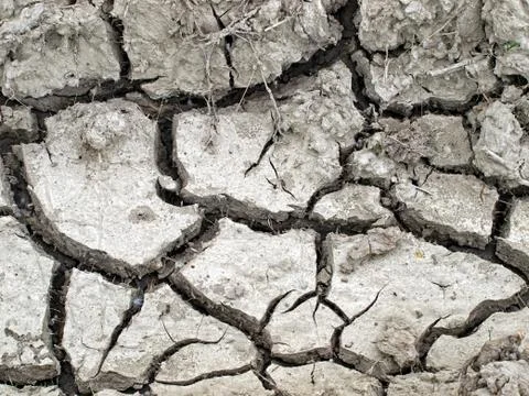 Drought Stock Photos