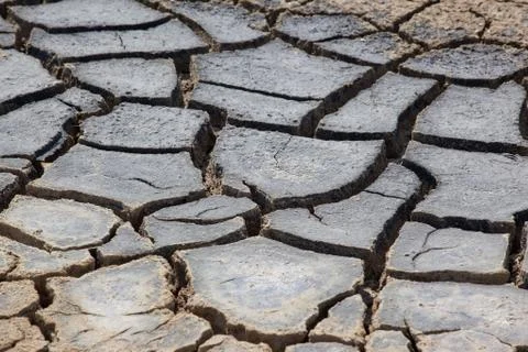 Drought Stock Photos