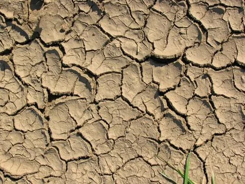 Drought Stock Photos