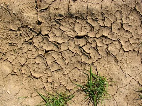 Drought Stock Photos