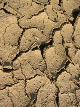 Drought Stock Photos