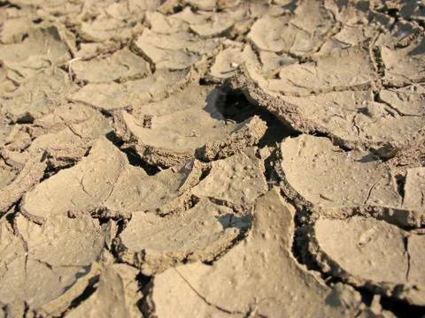 Drought Stock Photos