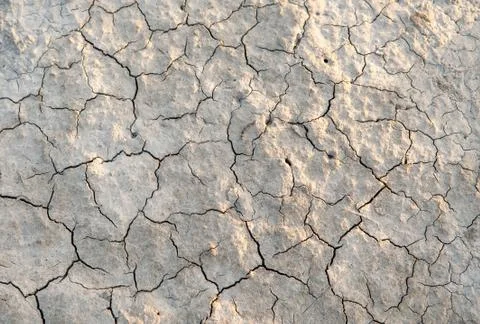 Drought Stock Photos