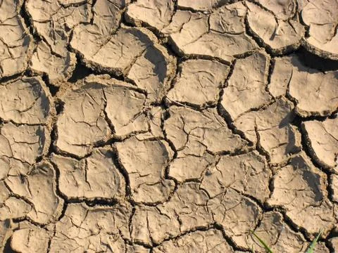 Drought Stock Photos