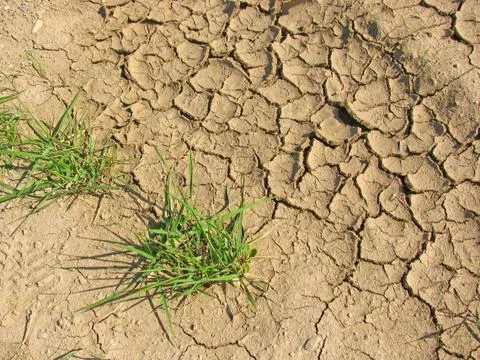 Drought Foto stock