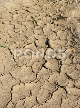 Drought Stock Photos