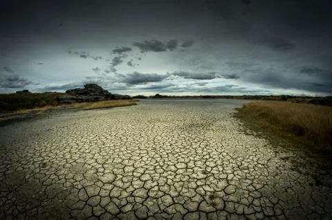 Drought Stock Photos