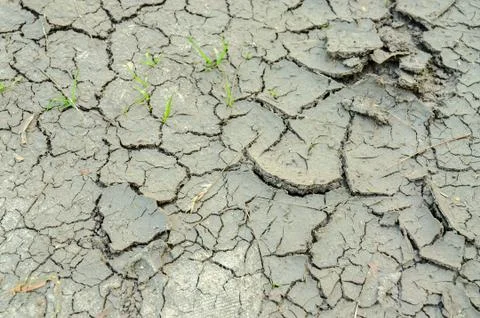 Drought Stock Photos