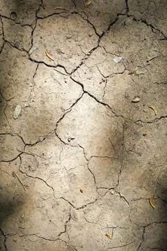 Drought Stock Photos