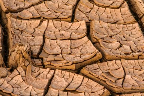 Drought Stock Photos