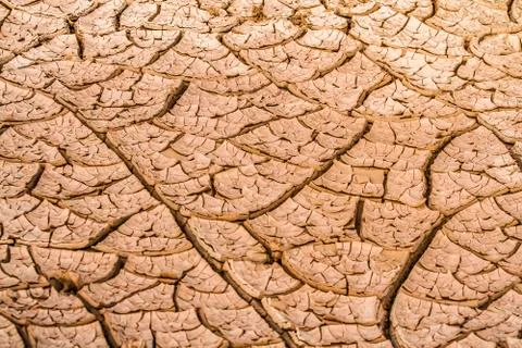 Drought Stock Photos