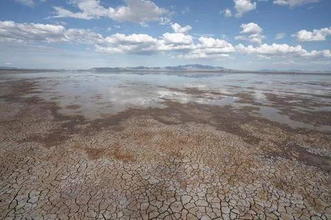 Drought Stock Photos