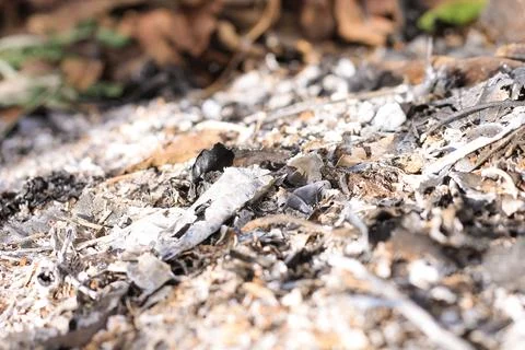 Drought Stock Photos