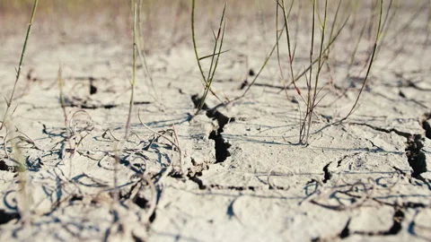 Drought Problem. Cracks On Dry Ground Stock Footage 243737465