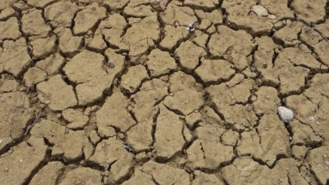 Drought problem in the world, cracked and split soils, Stock Footage 179015834