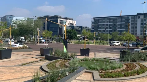 Drought resistant plants used in public gardens Stock Footage 124749351