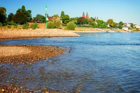 Drought at Rhine river with low water level exposing sandy bank and trees Stock-Fotos