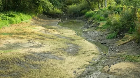 Drought river cracked crust soil stream cracks dry wetland desertification Stock Footage 220323049