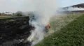 Drought Season, Hot Summer, No Rain, Dangerous Fire In Dry Agriculture Field HD Footage
