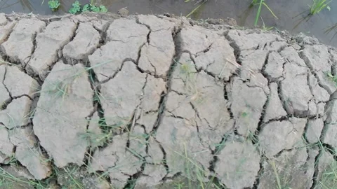 Drought soil Video stock 242261603