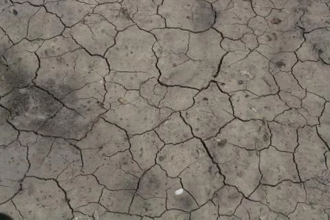 Drought in the soil Foto stock