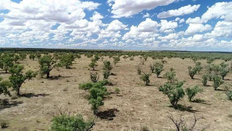 Drought Stricken Flood Plains Видео 80144481