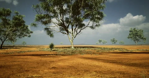 Drought stricken landscape with sparse trees and dry earth in a sunny sky Stock Footage 306156182