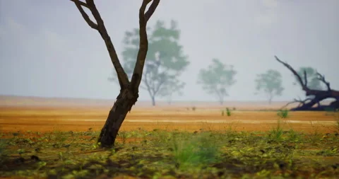 Drought stricken landscape with sparse vegetation in calm environment Stock Footage 313783597