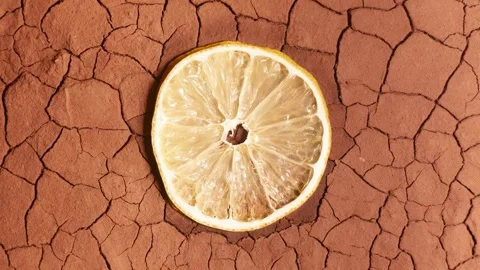 Drought timelapse. cracked soil drying out, drought impacts on agriculture. time Stock Footage 277109329