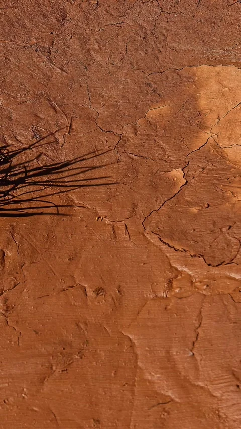 Drought timelapse soil land cracks earthy texture clay brown muddy, vertical Video stock 316396367