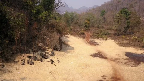 Drought triggered by climate change. Deforestation of rainforest in Asia. Aerial Stock Footage 128452088