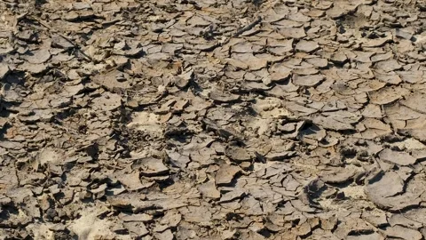 Drought. View of the dry land. The bottom of the dried up river Dnieper. Stock Footage 244221897