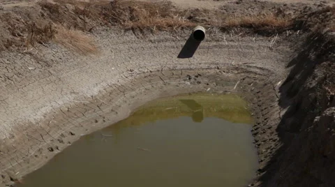 Drought water hole 01 Stock Footage 44266670