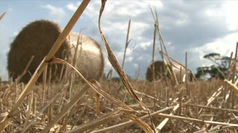 Drought weather - HD Stock Footage 21969039