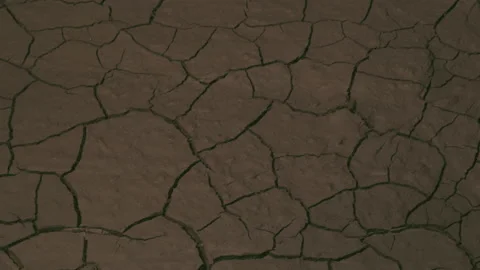 Drought in the west, close, 4K Stock Footage 231914358