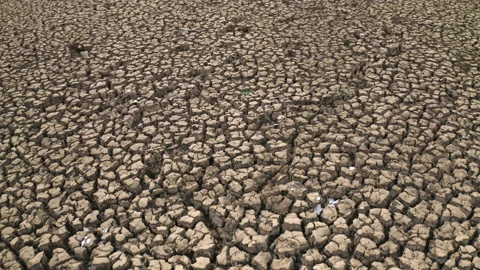 Droughty earth with deep cracks, the soil after the water draining Stock Footage 226813165