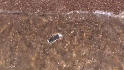 Drown smartphone floats on bottom in waves of sea surf sandy beach. Slow Motion Video stock 79193970