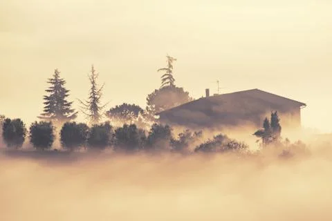 Drowned in the fog Photos