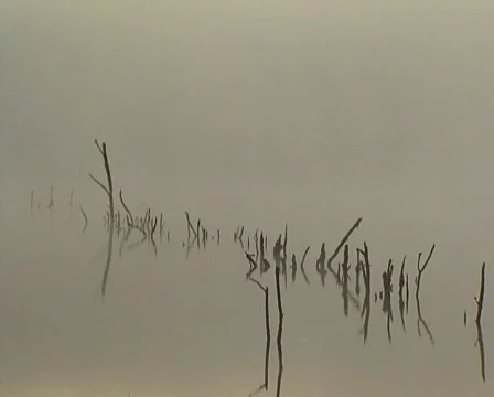 Drowned landscape Stock Footage 605844