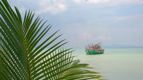 Drowned vessel seen through green leaves of exotic palm tree growing in tropics Video stock 94244492