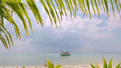 Drowned vessel seen through green leaves of exotic palm tree growing in tropics Stock Footage 94334761